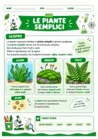 anteprima - Esercizi - Alghe muschi e felci scuola primaria - Pagina 1