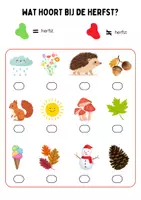 Voorbeeld - Themabundel Herfst + TOETS L1/groep 3 - Pagina 3