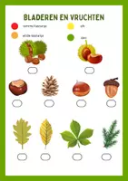 Voorbeeld - Themabundel Herfst + TOETS L1/groep 3 - Voorblad