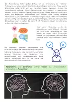 Vorschau - Arbeitsblätter - Der Rationalismus: Vernunft & Rene Descartes - Seite 2