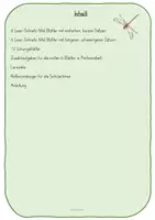 Vorschau - Arbeitsblätter - Lese-Schreib-Mal-Bilder für Klasse 1+2 - Seite 1