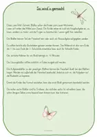 Vorschau - Arbeitsblätter - Lese-Schreib-Mal-Bilder für Klasse 1+2 - Seite 3
