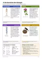 Vorschau - Arbeitsblätter - Biologie – die Wissenschaft vom Leben - Seite 1