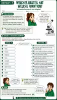 Vorschau - Unterrichtsreihen - 🔬🏆 Mikroskopier-Führerschein – Komplettes Unterrichtsmaterial Mikroskopieren | Biologie 🧫🔍 | Arbeitsblätter, Lösungsblätter, Führerschein & Kahoott! | Klasse 5–8 - Seite 2
