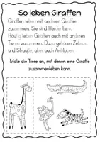 Vorschau - Arbeitsblätter - Giraffe Forscherheft – Sachunterricht Grundschule (Tiere Afrikas Klasse 1/2) - Seite 3