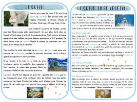 Aperçu - Autre type de ressources - Pack Mali : Activités, jeux & fiches Cycle 2-3 - Page 3