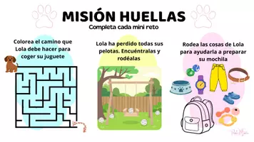 Vista previa - Hojas de trabajo - MISIÓN MÁGICA - Portada