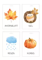 Vorschau - Bildkarten - Herbst Lernkarten- Lernkarten für Kinder | Sprachförderung Morgenkreis - Seite 3