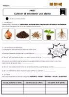 Aperçu - Préparation de séquence / Séquence complète - fmtt-technologie - cultiver et entretenir une plante - Page 2