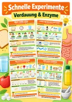 Vorschau - Arbeitsblätter - Verdauung & Enzyme – 5 schnelle Experimente Biologie - Deckblatt