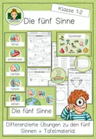 Vorschau - Arbeitsblätter - Die fünf Sinne: Übungen und Arbeitsblätter für den Sachunterricht der Grundschule (Klasse 1 und 2) - Deckblatt