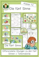 Vorschau - Arbeitsblätter - Die fünf Sinne: Übungen und Arbeitsblätter für den Sachunterricht der Grundschule (Klasse 1 und 2) - Seite 1