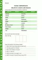 Vorschau - Arbeitsblätter - Ireland by Janice Clark Rudolph READING COMPREHENSION - Seite 2