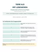 Vorschau - Arbeitsblätter - Gruppenarbeit Tiere als Mit-Lebewesen sofort einsetzbar - Seite 1