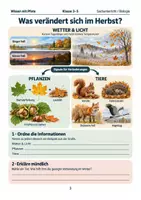 Vorschau - Arbeitsblätter - Sachunterricht: Was verändert sich in der Natur im Herbst? - Seite 3