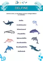 Vorschau - Arbeitsblätter - Wale und Delfine Vokabelheft: Grundschule Meeressäuger - Seite 2