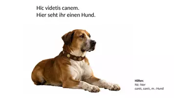 Vorschau - Stundenentwürfe - Lateinische Relativpronomen (Stundenentwurf) - Seite 2