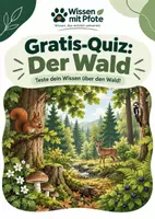 Vorschau - Quiz - Kostenlos: Teste dein Wissen über den Wald - Deckblatt