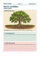 Vorschau - Arbeitsblätter - Materialpaket Herbst entdecken & verstehen | Medium Bundle | 15 Arbeitshefte - Seite 1