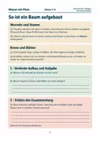 Vorschau - Arbeitsblätter - Materialpaket Herbst entdecken & verstehen | Medium Bundle | 15 Arbeitshefte - Seite 2