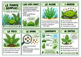 anteprima - Altro tipo di materiale - Le piante semplici e le piante complesse - Libretti da costruire - Pagina 1
