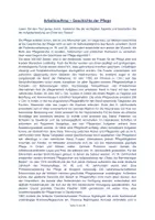 Vorschau - Arbeitsblätter - Materialpaket: Geschichte der Pflege - Seite 2