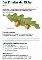 Vorschau - Arbeitsblätter - Eichengallwespe und Blattgallen an der Eiche – Mission Kugeln am Blatt | Sachunterricht Klasse 4 - Seite 2