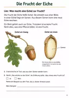 Vorschau - Arbeitsblätter - Eichengallwespe und Blattgallen an der Eiche – Mission Kugeln am Blatt | Sachunterricht Klasse 4 - Seite 3
