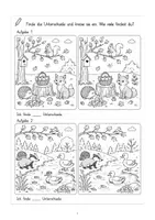 Vorschau - Arbeitsblätter - Genau schauen-nachspuren-Unterschiede finden-Klasse 1 - Deckblatt
