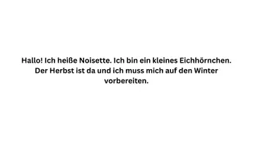 Vorschau - Bildkarten - Kamishibai – Noisette, das Eichhörnchen bereitet sich auf den Winter vor | Herbst & Waldtiere - Seite 2