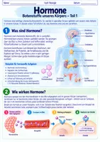 Vorschau - Arbeitsblätter - Hormone- Botenstoffe unseres Körpers | Unterrichtsreihe "Das Nervensystem", Biologie 9.-10. Klasse - Seite 1