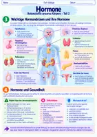 Vorschau - Arbeitsblätter - Hormone- Botenstoffe unseres Körpers | Unterrichtsreihe "Das Nervensystem", Biologie 9.-10. Klasse - Seite 2