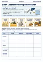 Vorschau - Arbeitsblätter - Erntedank Arbeitsblatt Klasse 5–6 - Seite 2