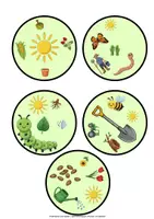 Vorschau - Spiele - Wahrnehmungsspiel Pflanzen und Wachsen für den Kindergarten - Seite 2