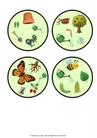 Vorschau - Spiele - Wahrnehmungsspiel Pflanzen und Wachsen für den Kindergarten - Seite 3
