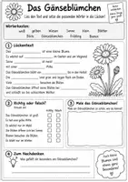Vorschau - Arbeitsblätter - Gänseblümchen_Steckbrief/AB/Spiel - Seite 2
