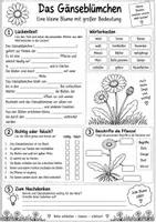 Vorschau - Arbeitsblätter - Gänseblümchen_Steckbrief/AB/Spiel - Seite 3