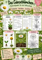 Vorschau - Arbeitsblätter - Gänseblümchen_Steckbrief/AB/Spiel - Deckblatt