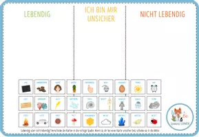 Vorschau - Spiele - Lebendig oder nicht lebendig?- digitale Sortieraktivität für Computer & iPad - Seite 2