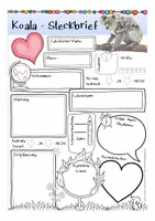 Vorschau - Arbeitsblätter - Steckbrief Koala - Seite 1