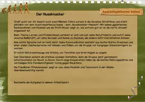 Vorschau - Arbeitsblätter - Evolution: Die Stammesgeschichte des Menschen, Evolution Mensch, Stationenlernen - Seite 2