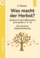 Vorschau - Text - Was macht der Herbst? – Sachtext 2. Klasse – 3-fach differenziert mit Silbenmarkierung - Deckblatt