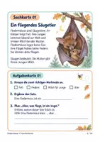 Vorschau - Stundenentwürfe - Fledermäuse Forscherkartei: 10 Sachkarten mit Aufgaben & Lösungen | Klasse 2–4 - Seite 2