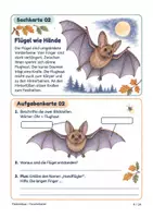 Vorschau - Stundenentwürfe - Fledermäuse Forscherkartei: 10 Sachkarten mit Aufgaben & Lösungen | Klasse 2–4 - Seite 3