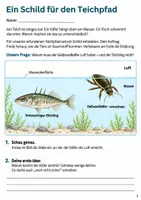 Vorschau - Arbeitsblätter - Atmung bei Wassertieren – Mission Teich | Sachunterricht Klasse 4 - Seite 2