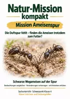 Vorschau - Arbeitsblätter - Ameisenorientierung – Mission Ameisenspur | Sachunterricht Klasse 4 - Deckblatt