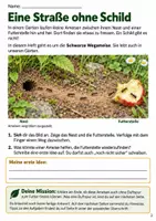 Vorschau - Arbeitsblätter - Ameisenorientierung – Mission Ameisenspur | Sachunterricht Klasse 4 - Seite 2