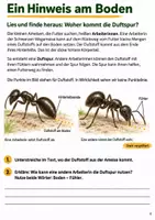 Vorschau - Arbeitsblätter - Ameisenorientierung – Mission Ameisenspur | Sachunterricht Klasse 4 - Seite 3