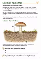 Vorschau - Arbeitsblätter - Pilze – Mission Pilzgeheimnis | Sachunterricht Klasse 4 - Seite 3