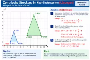 Vorschau - Arbeitsblätter - Zentrische Streckung im Koordinatensystem- Streckenfaktor k - Seite 2
